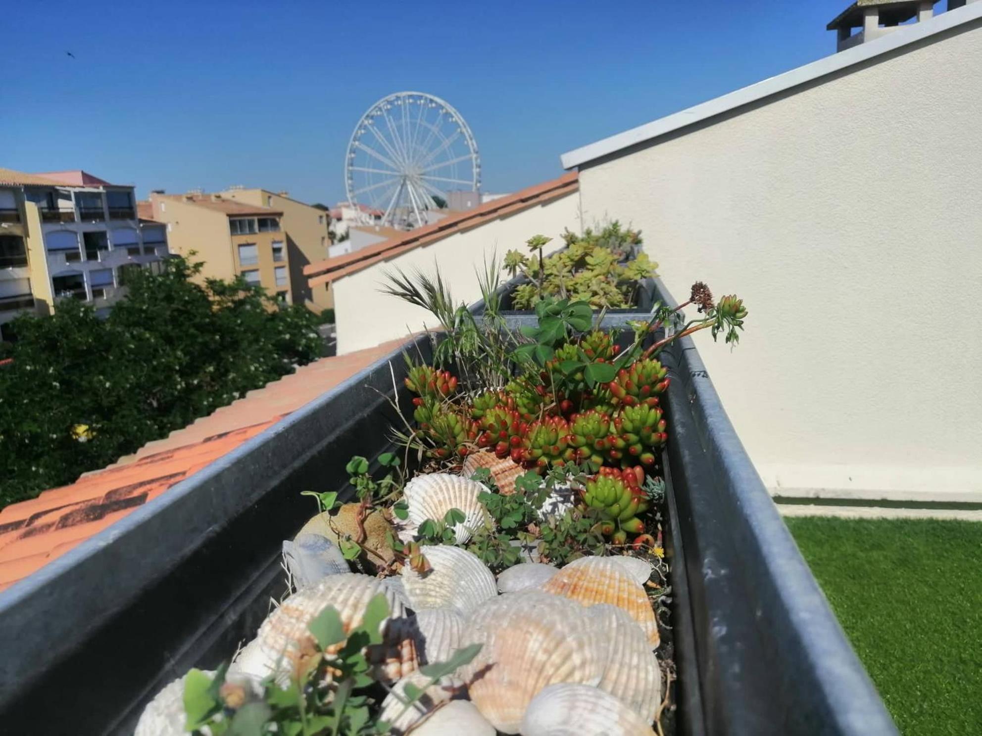 Pamela Sea Lodge Cap D Agde Exterior foto